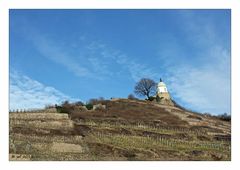 Die Weinberge in Radebeul im Winterschlaf