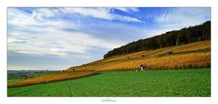 Die Weinberge in Siblingen...