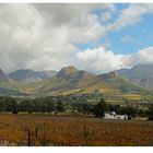 Die Weinberge von Franschhoek