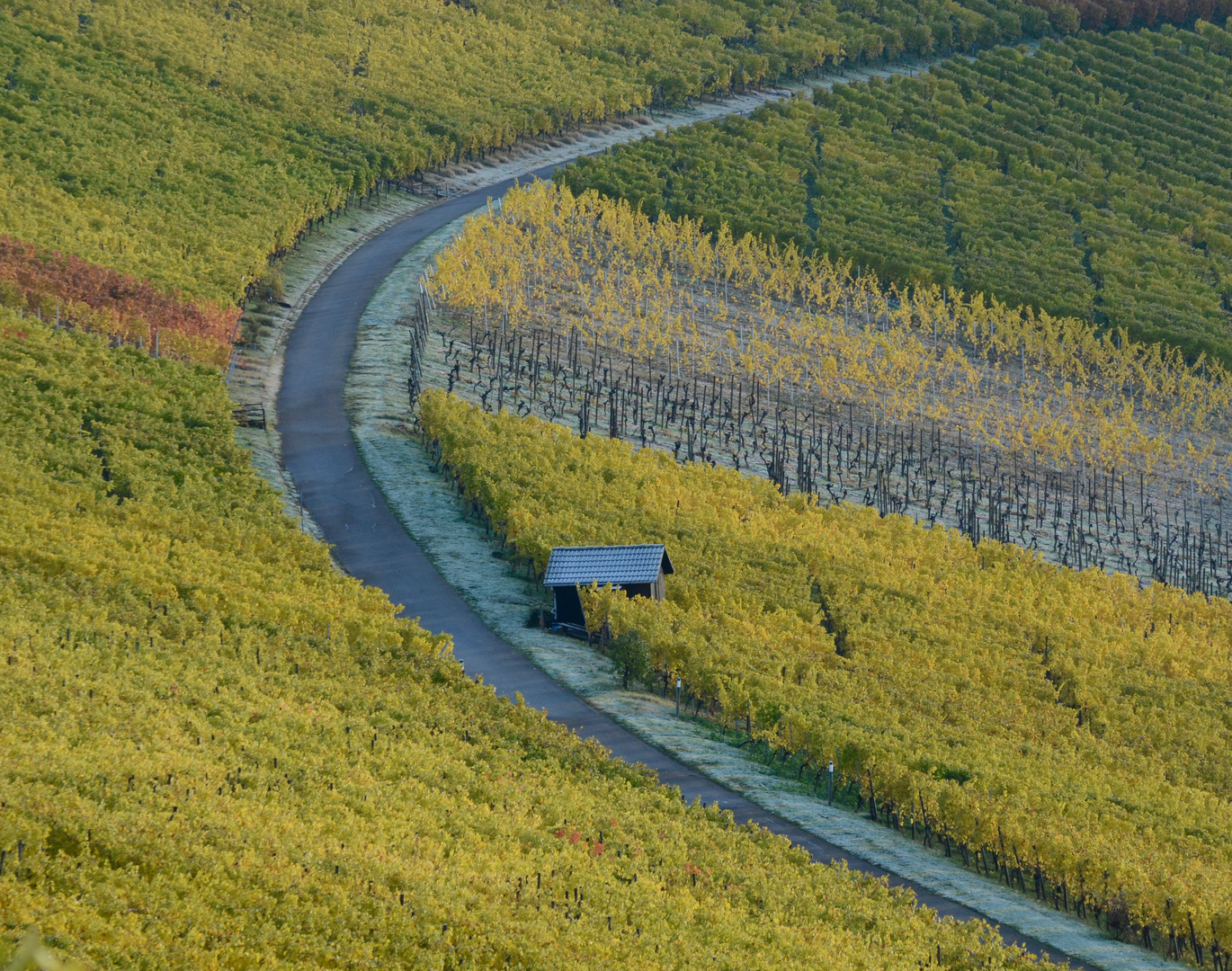 Die Weinbergkurve 