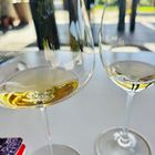 Die Weine sind gut wenn auch mit unseren nicht vergleichbar 