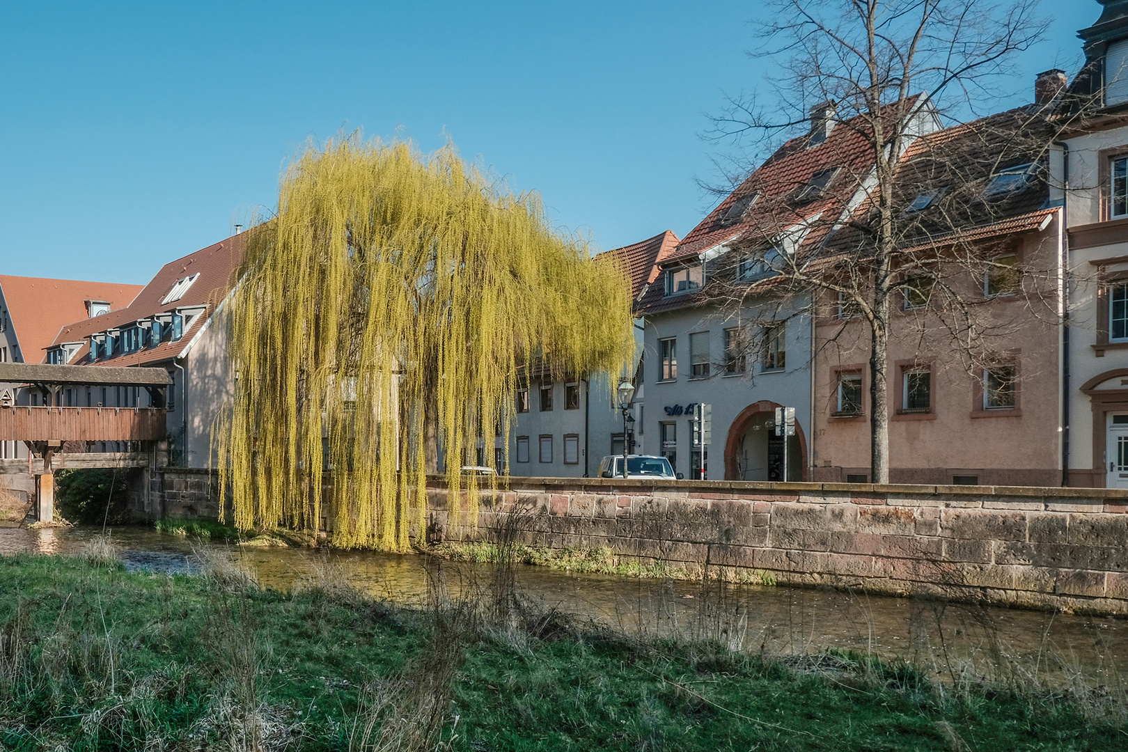 Die weinende Weide