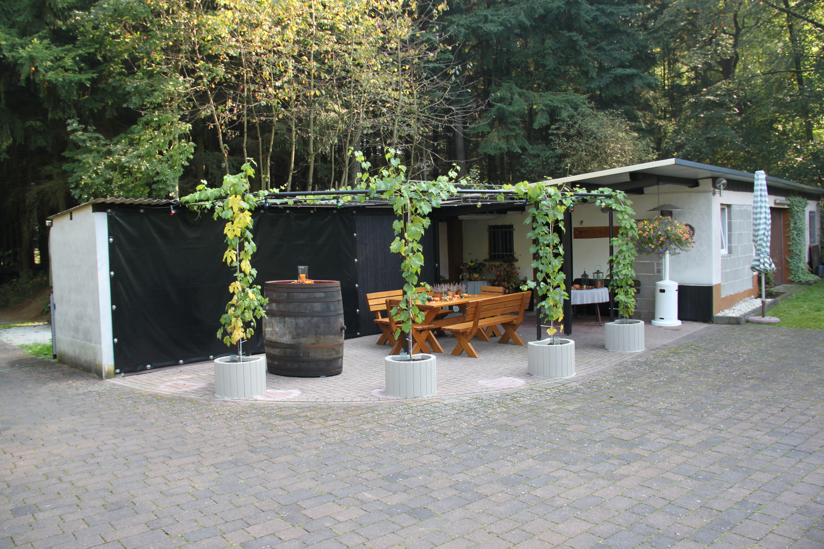 Die Weinlaube Foto & Bild landschaft, garten & parklandschaften