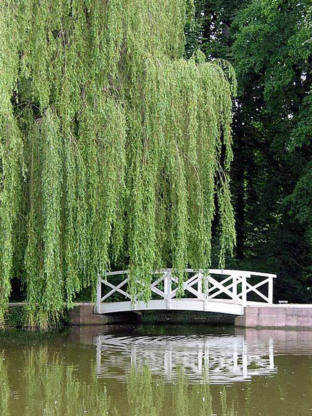 Die weiße Brücke