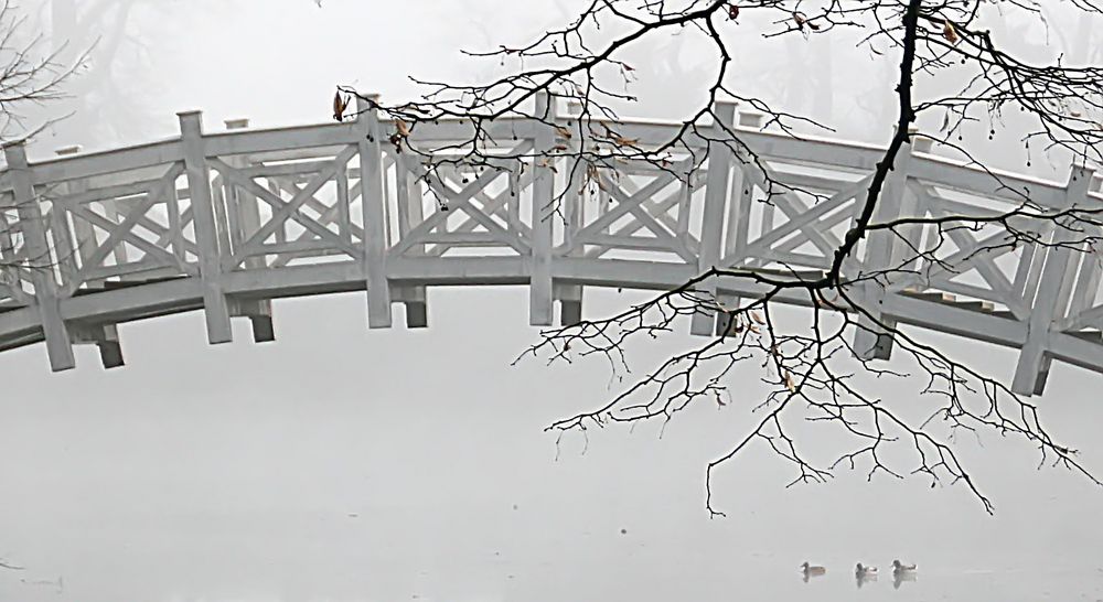 die Weisse Brücke,...