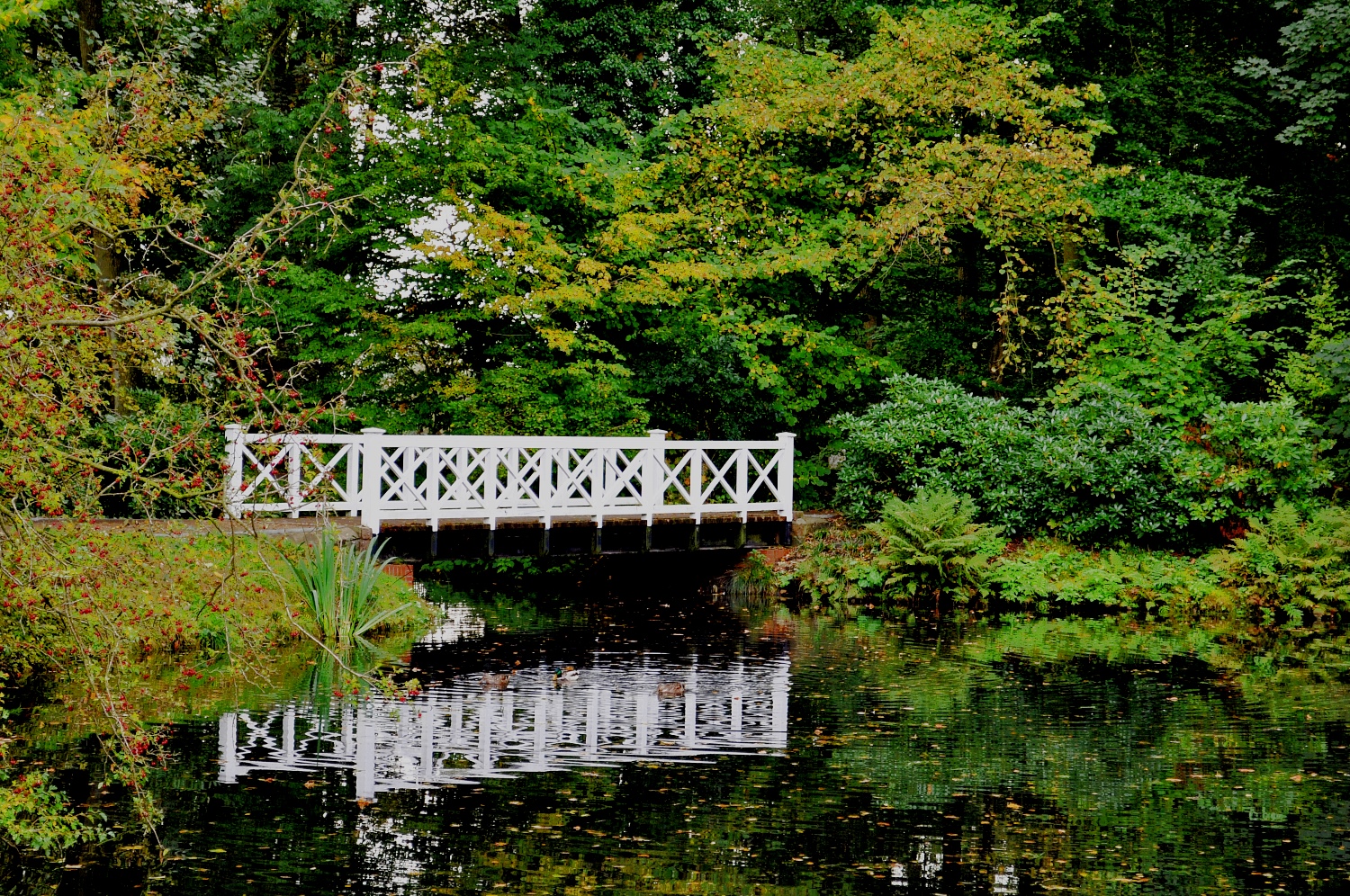 Die weiße Brücke im Park