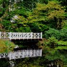 Die weiße Brücke im Park