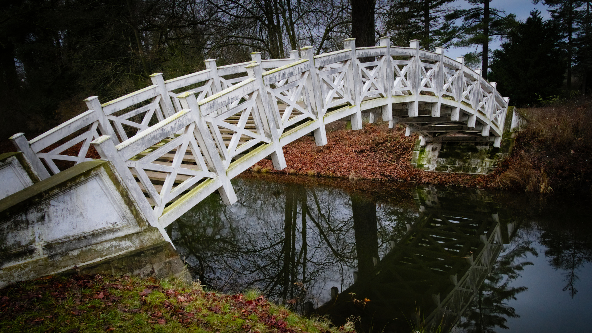 Die Weiße Brücke im Wörlitzer Park Foto & Bild architektur