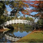 Die weiße Brücke von Wörlitz