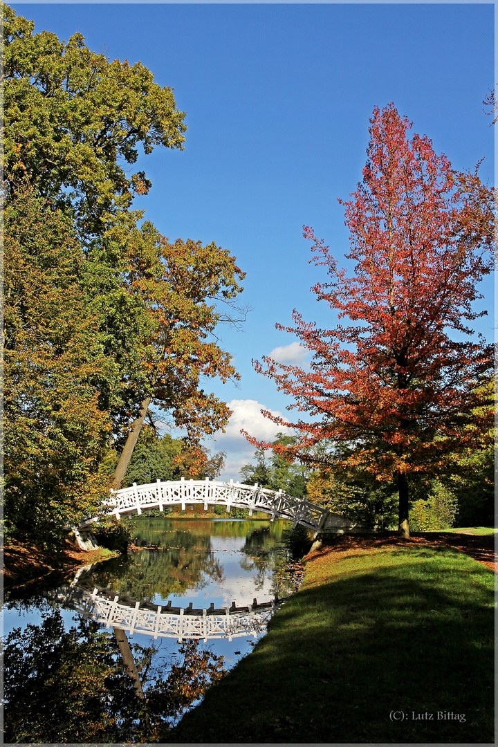 Die weiße Brücke von Wörlitz