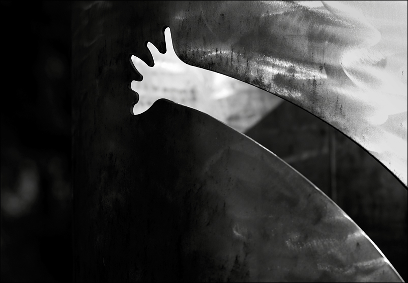 Die weiße Hand... Foto & Bild kunstfotografie & kultur, gemälde & skulpturen, skulpturen im Die weiße Hand... Foto & Bild kunstfotografie & kultur, gemälde & skulpturen, skulpturen im