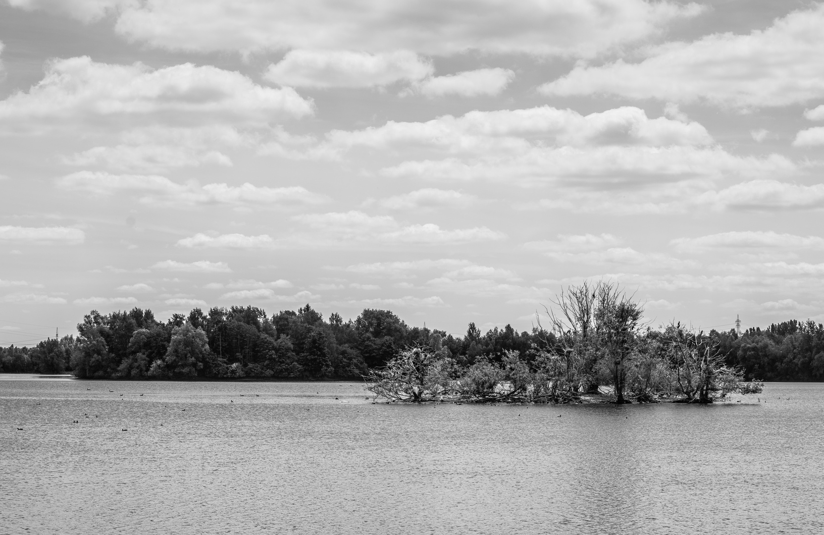 Die weiße Insel der Kormorane