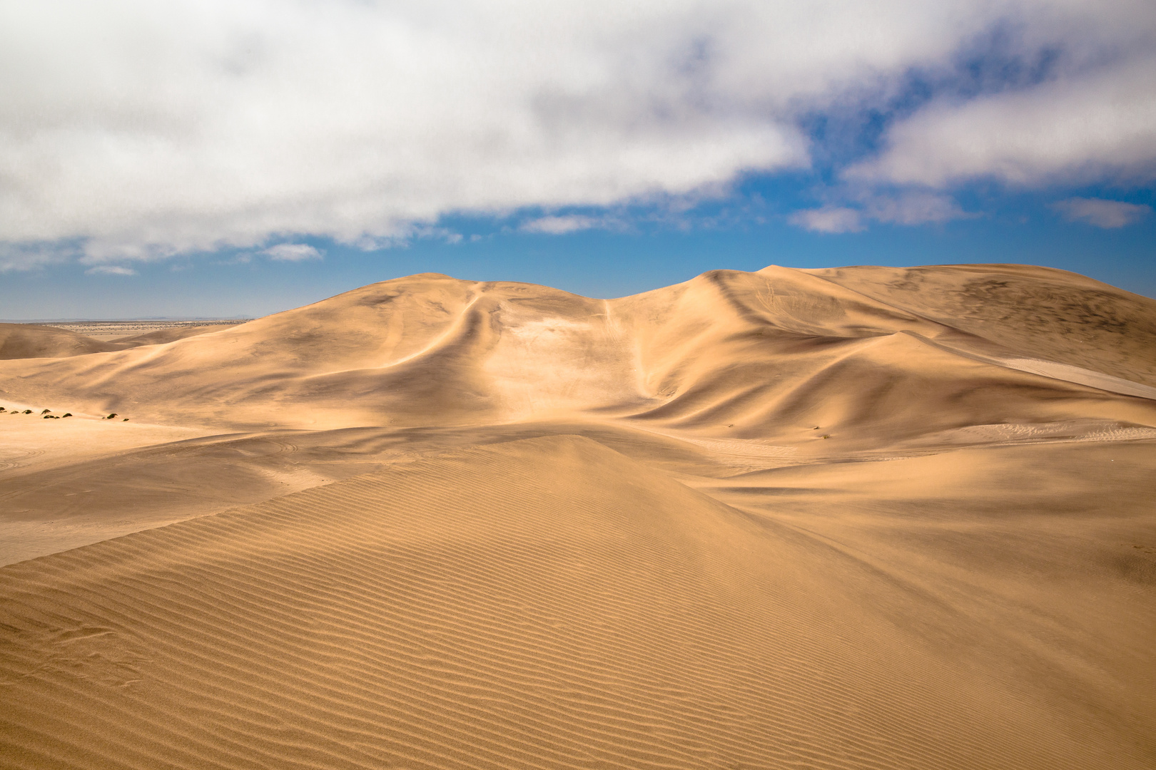 Die weiße Namib bei Swakopmund