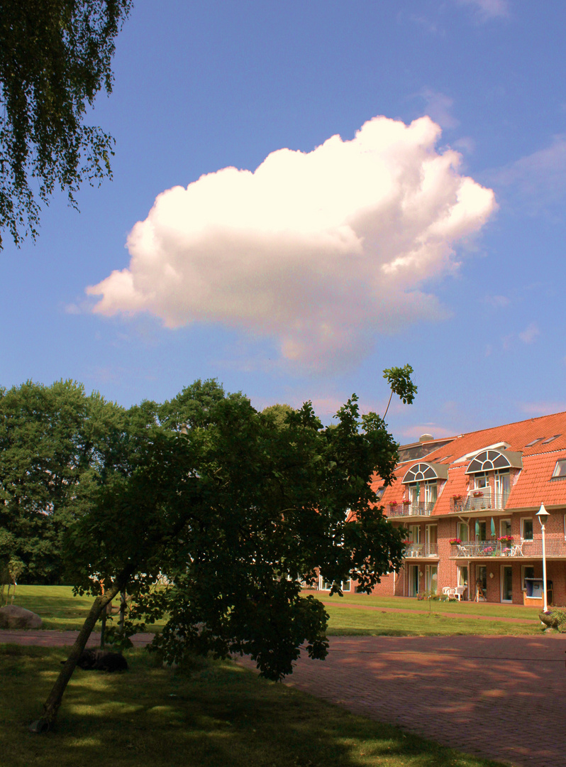 Die weiße Wolke