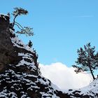 die weiße Wolke