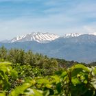 Die weißen Berge auf Kreta