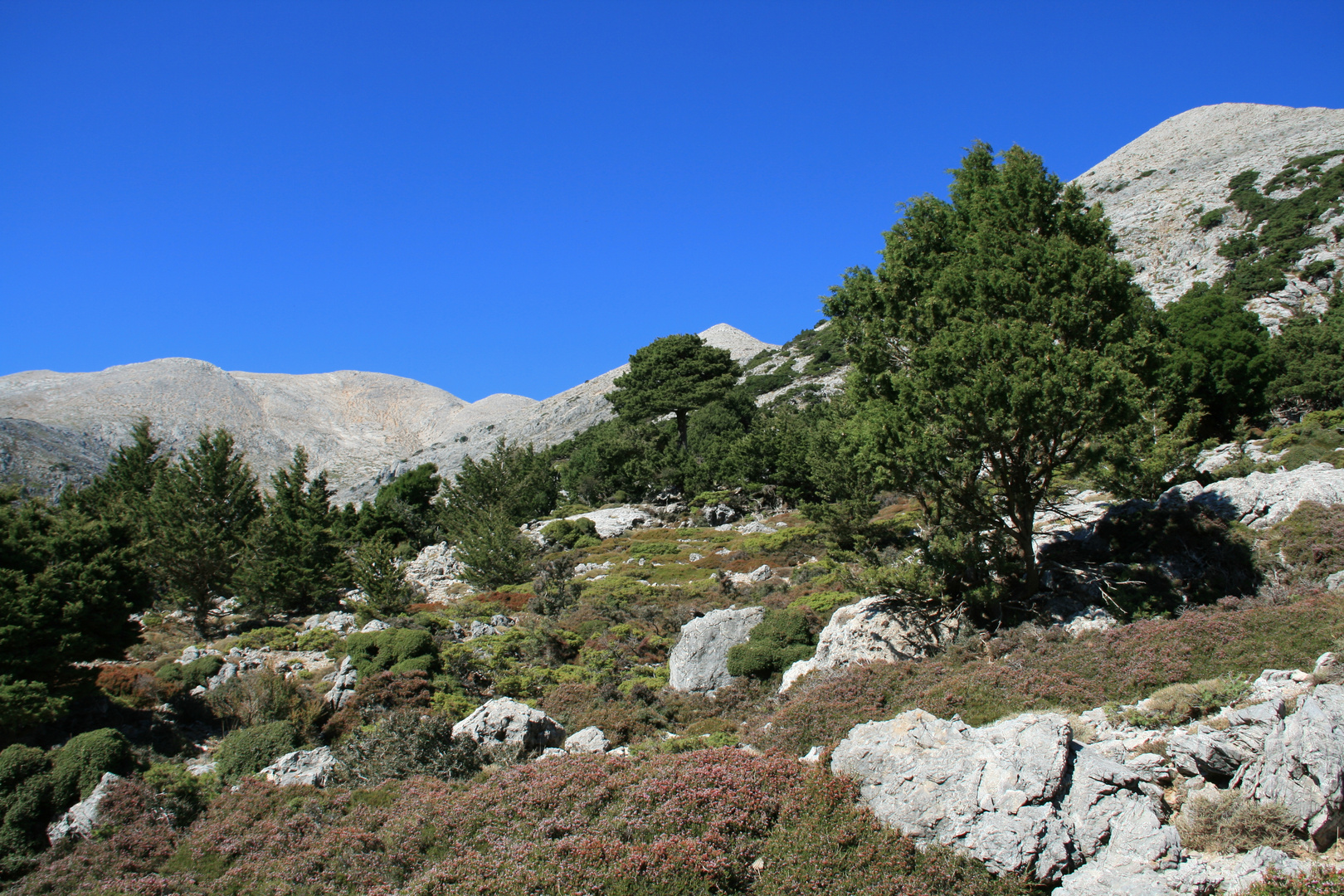 Die "Weissen Berge" von Kreta.