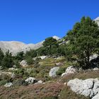 Die "Weissen Berge" von Kreta.