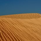 Die weissen Dünen von Mui Ne