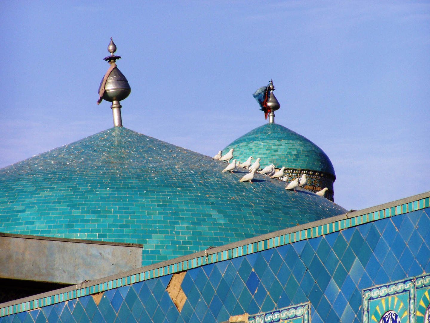 Die weißen Tauben auf der blauen Moschee in Mazar-i-Sharif