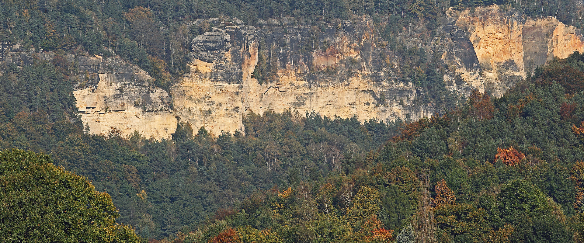 Die weißen Wände an der Elbe im goldenen Herbst im Gebiet der Bastei...