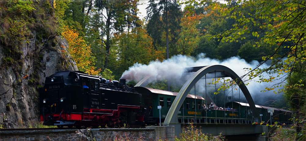 Die Weißeritztalbahn…,