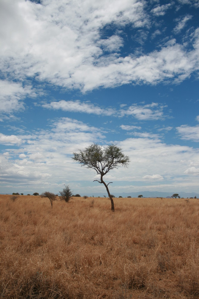 Die Weite Afrikas