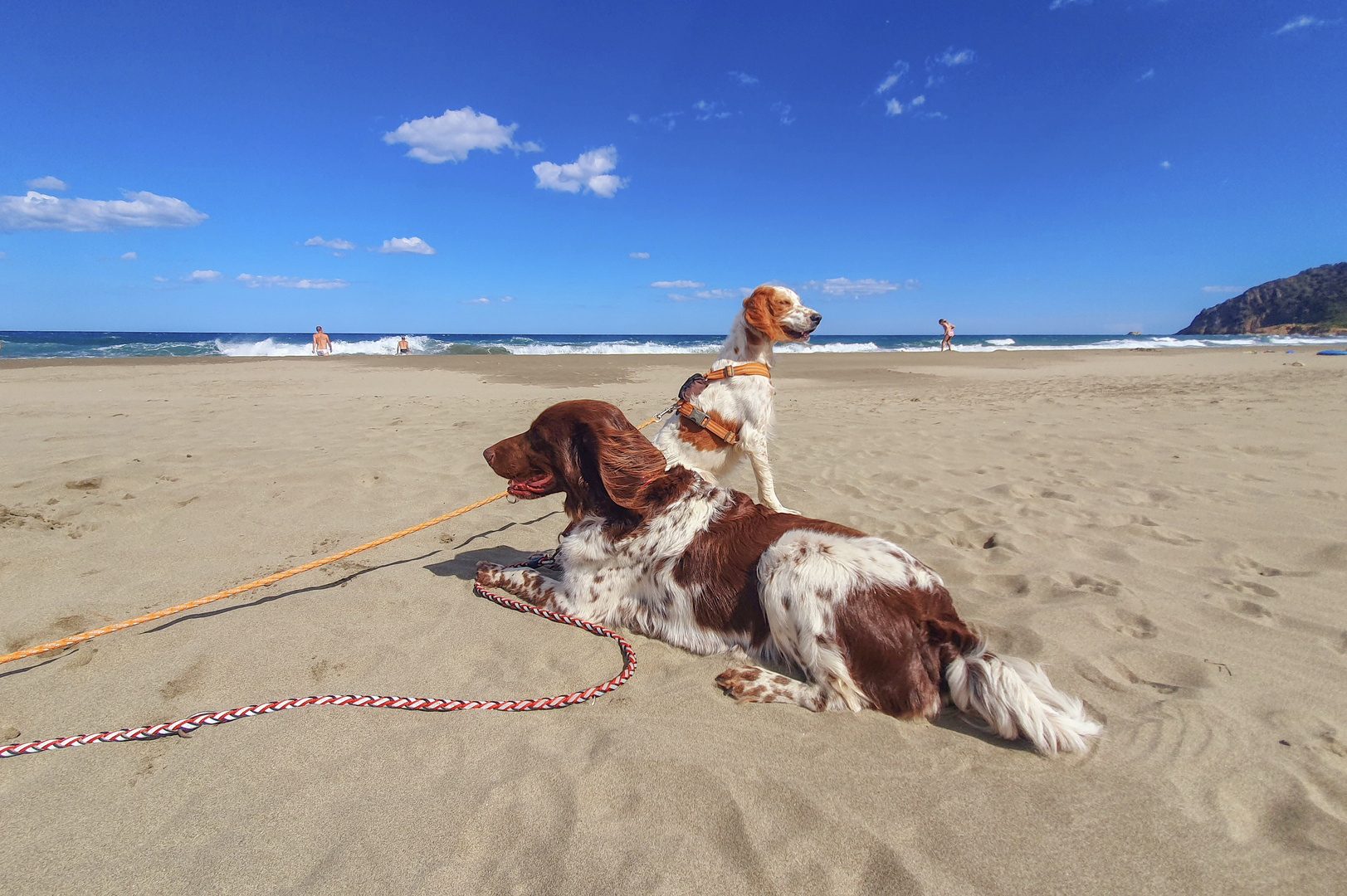 Die Weite am Strand genießen 