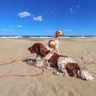 Die Weite am Strand genießen 