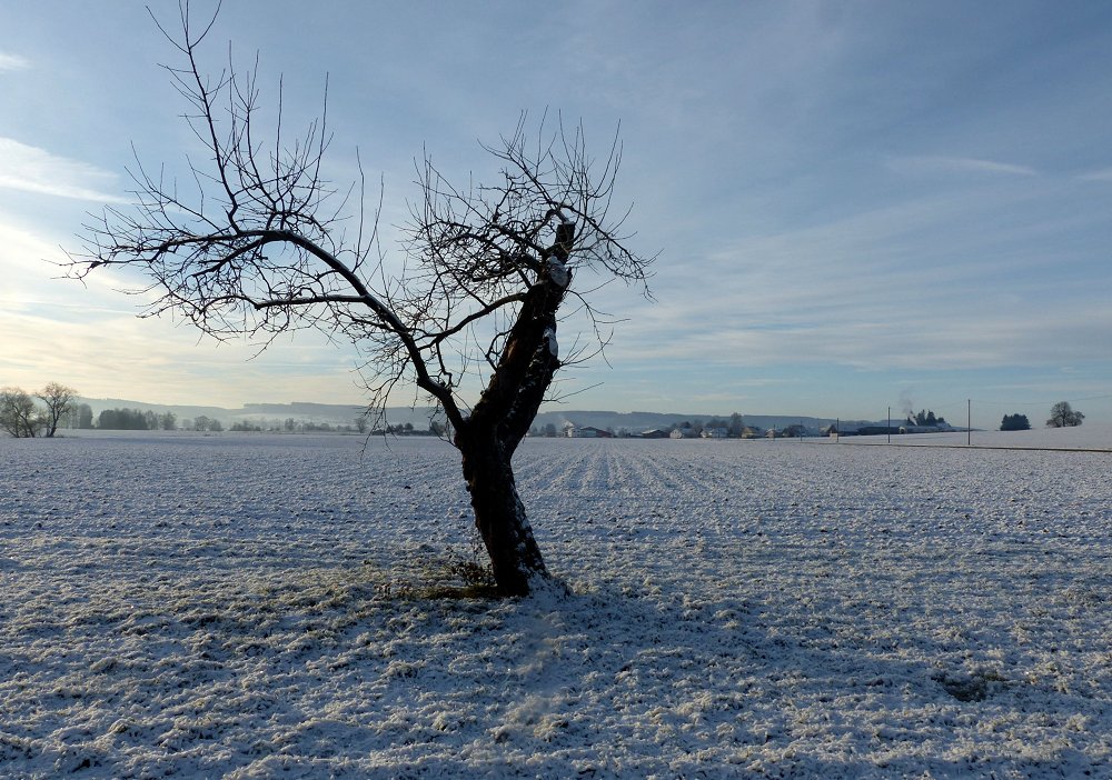 Die Weite da draußen