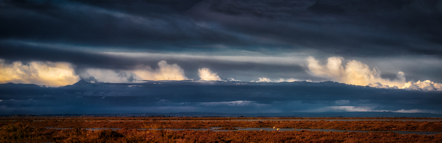 Die Weite der Camargue