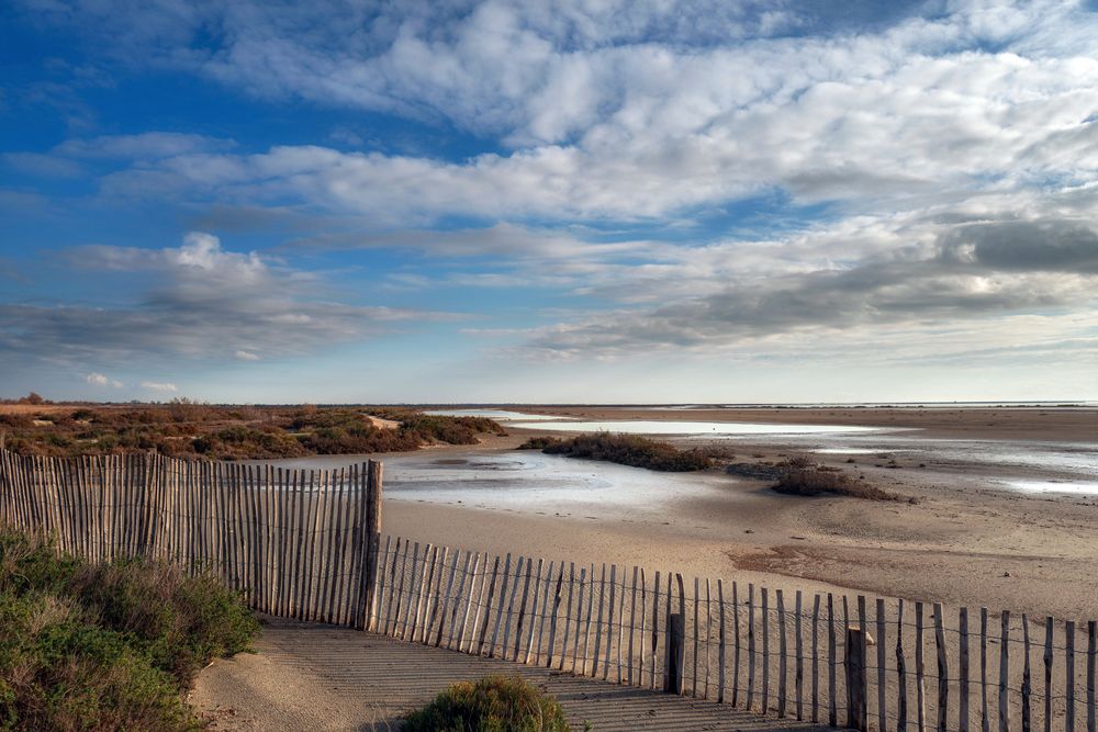 Die Weite der Camargue Foto & Bild  landschaft, dokumentation, outdoor Bilder auf fotocommunity