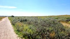 Die Weite der Landschaft, Nähe Norddorf