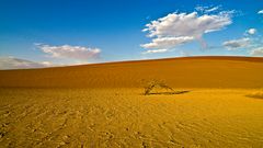 Die Weite der Namib