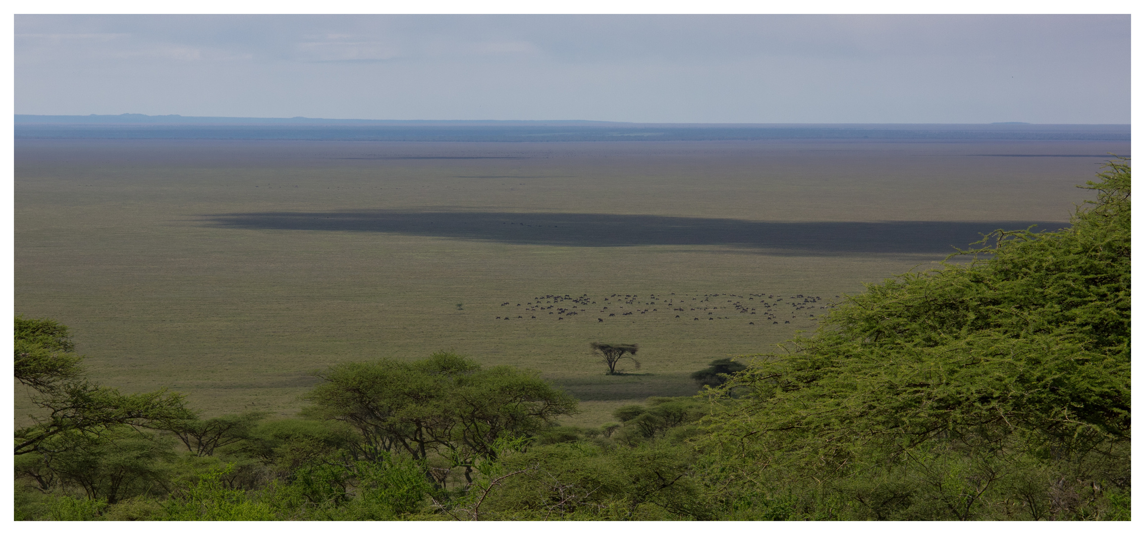 Die Weite der Serengeti...