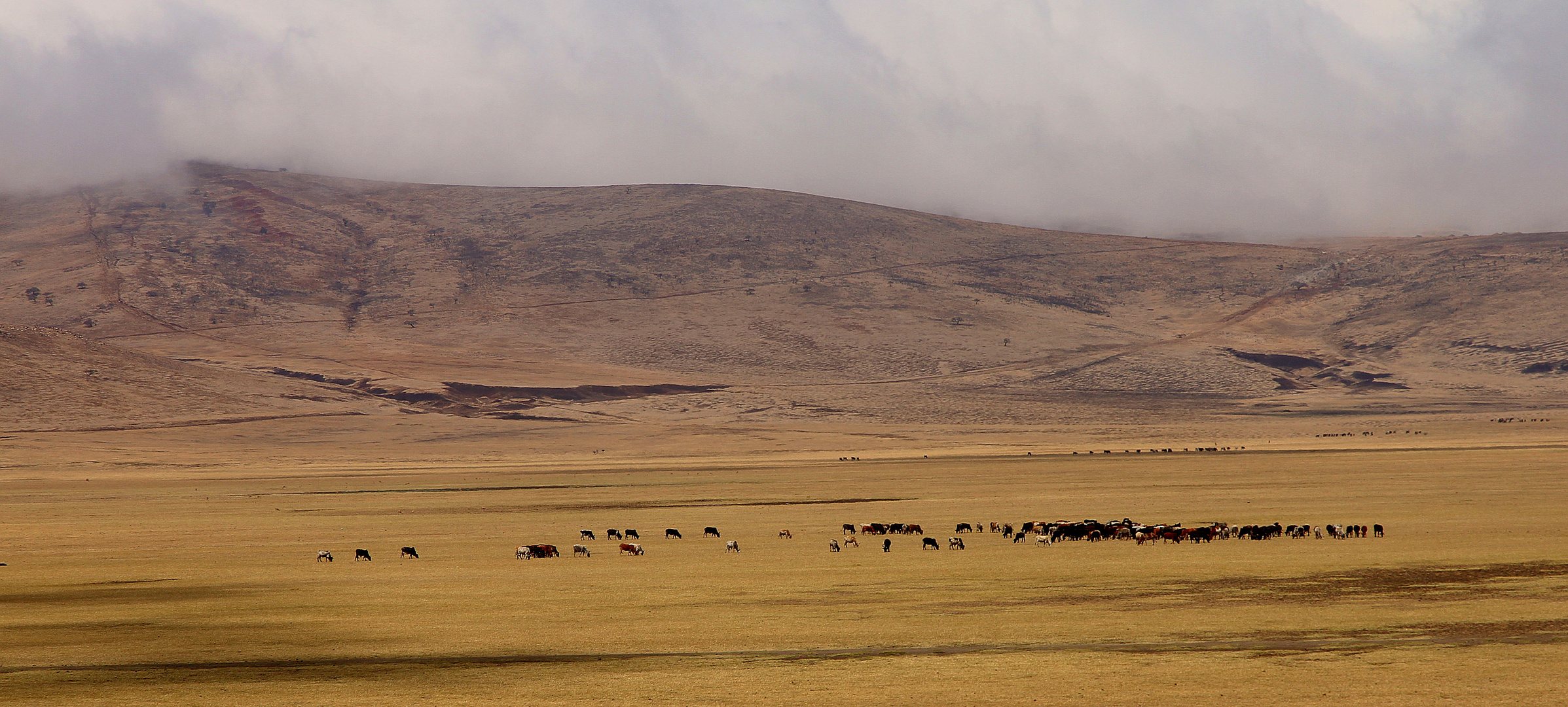 Die Weite der Serengeti