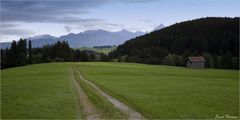 Die Weite des Allgäu_4