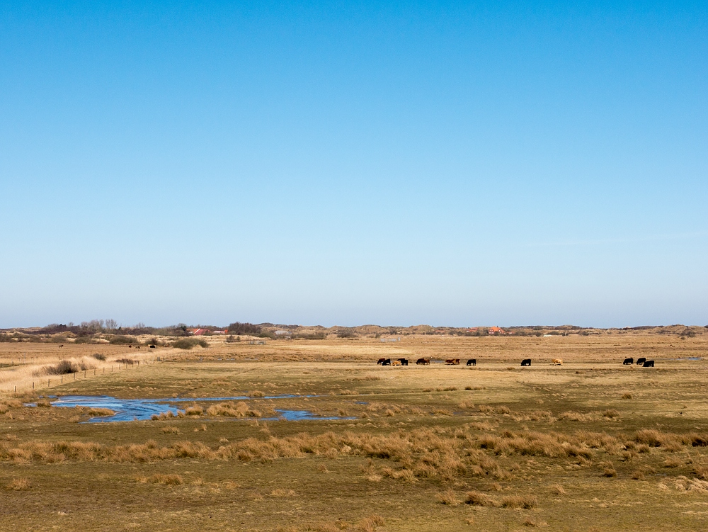 Die Weite des Borkumer Ostlandes