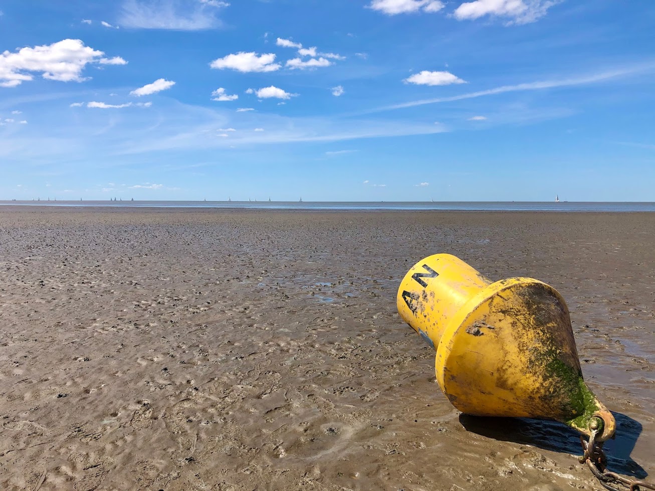 Die weite des Wattenmeer