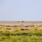 die Weiten der Serengeti