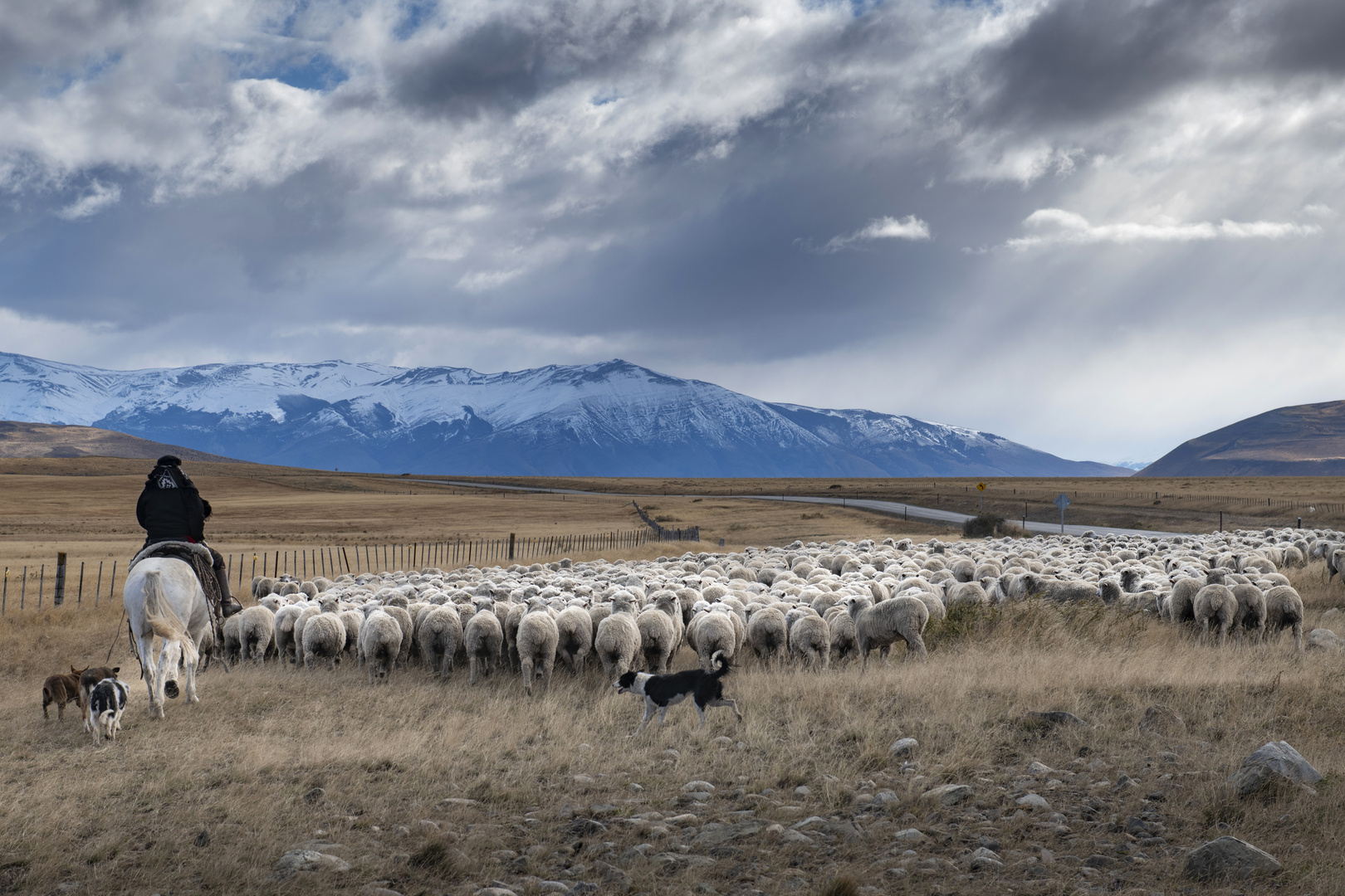 Die weiten Felder Patagoniens