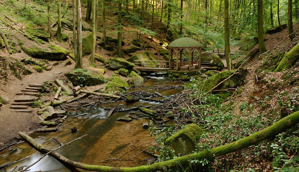 Die weitgehend naturbelassene Karlstalschlucht liegt etwa 10 Kilometer südlich von Kaiserslautern...