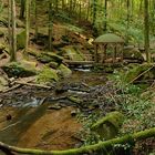 Die weitgehend naturbelassene Karlstalschlucht liegt etwa 10 Kilometer südlich von Kaiserslautern...