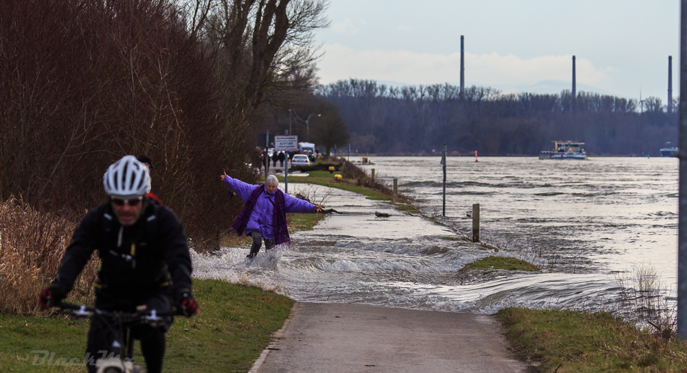 Die Welle...