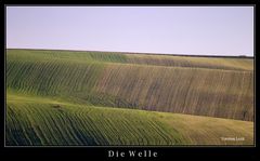 Die Welle