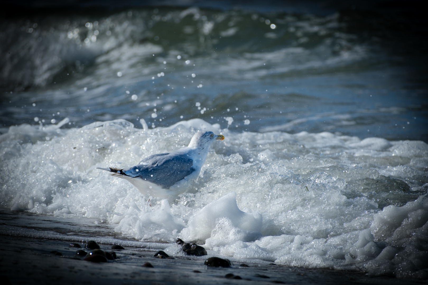 Die Welle kommt