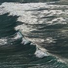 Die Welle / l'onda (1)