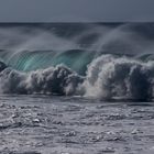 Die WELLE vom Winde verweht