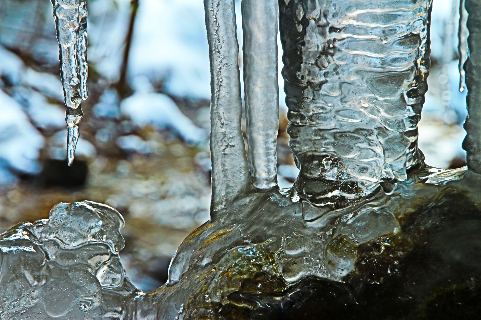 Die Welt aus Glas