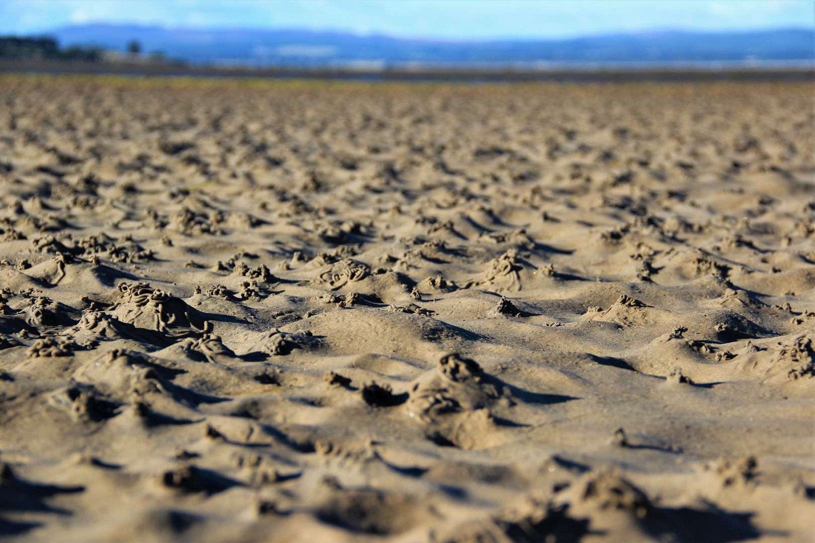 Die Welt bei Ebbe